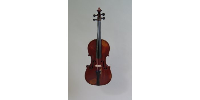 Violon