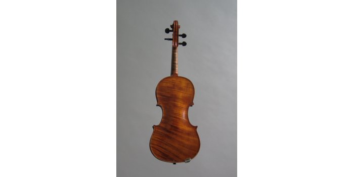 Violon