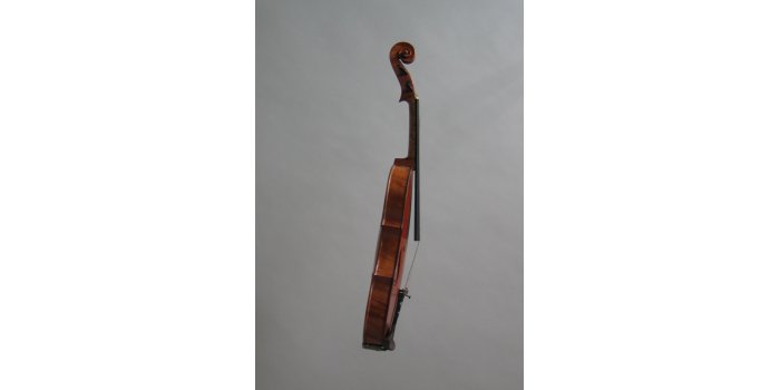 Violon