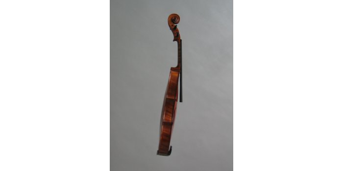 Violon