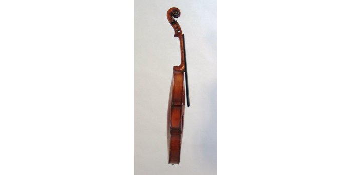 Violon