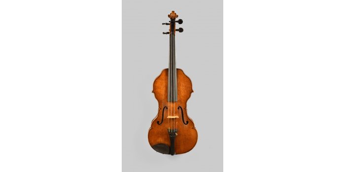 Violon