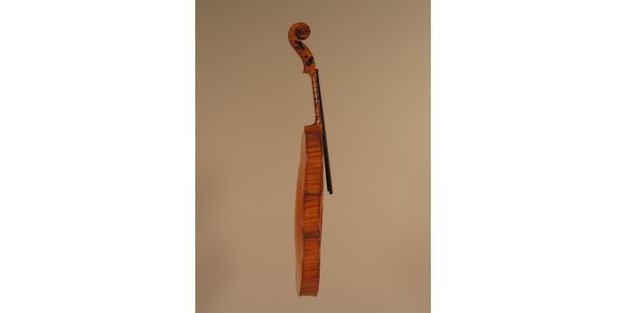 Violon