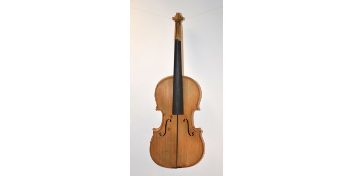 Violon