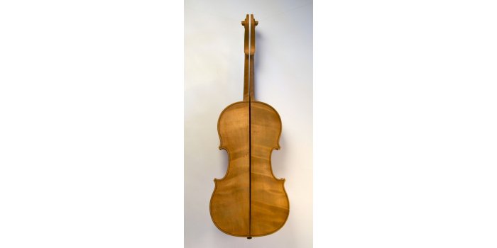 Violon