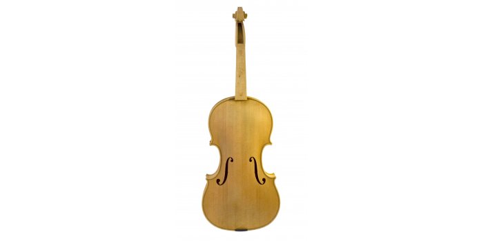 Violon