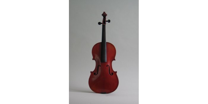 Violon