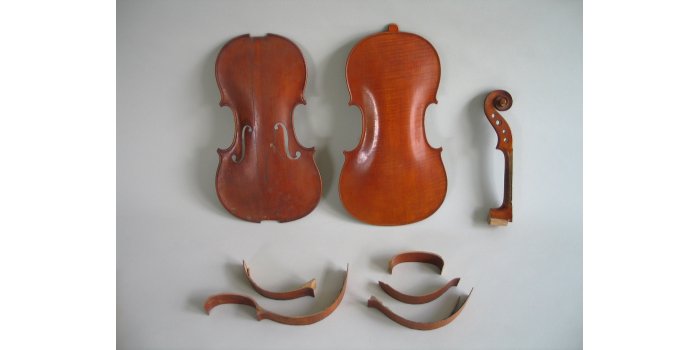 Violon