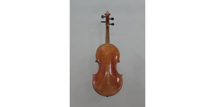 Violon