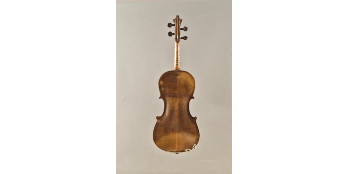 Violon