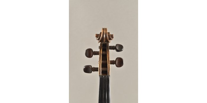 Violon