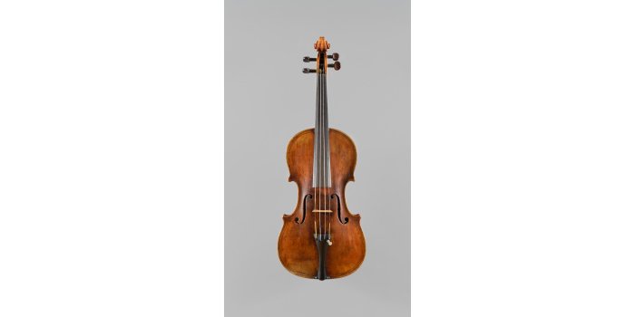 Violon