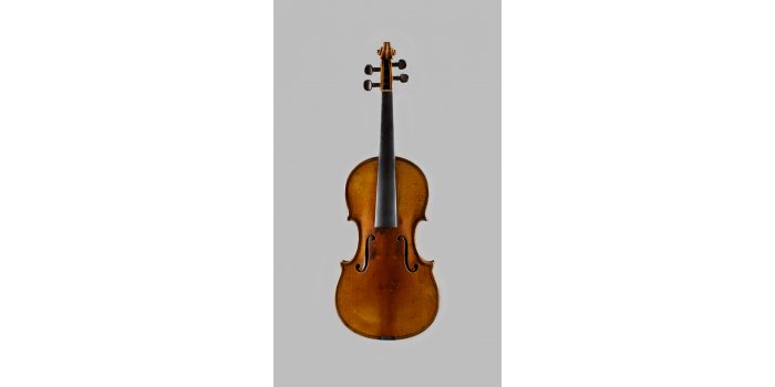 Violon