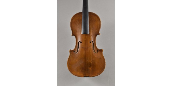 Violon