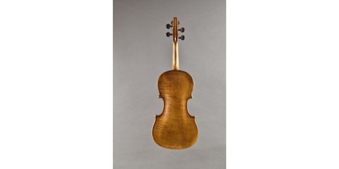 Violon