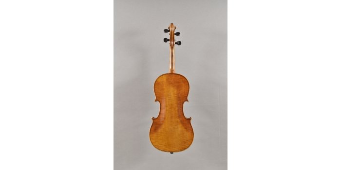 Violon