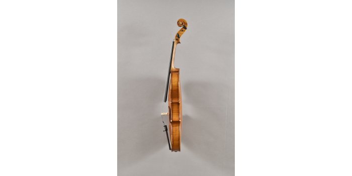 Violon