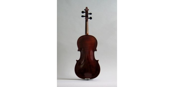 Violon