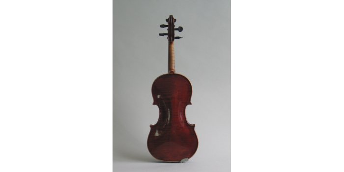 Violon