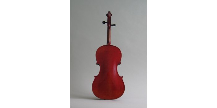 Violon