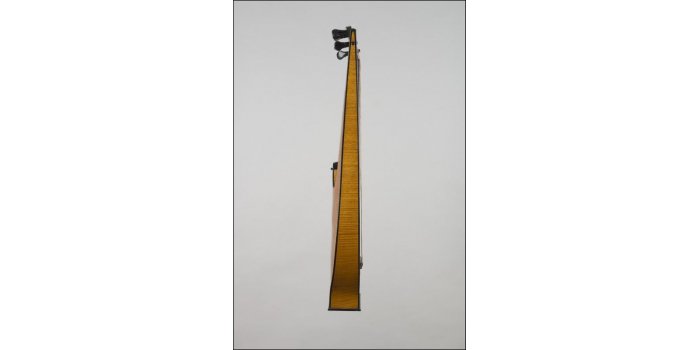 Guitare lyre