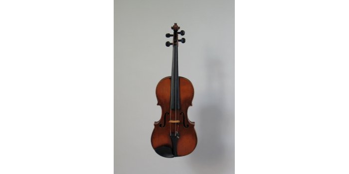 Violon