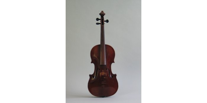 Violon