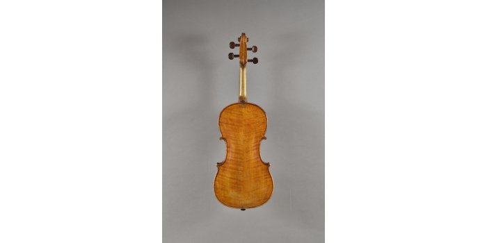 Violon