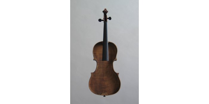 Violon