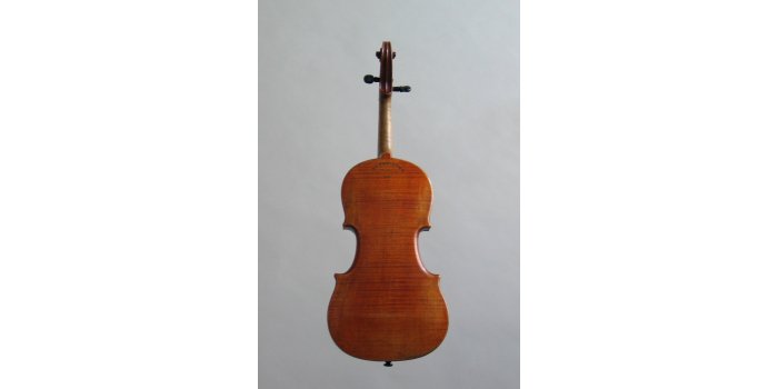 Violon