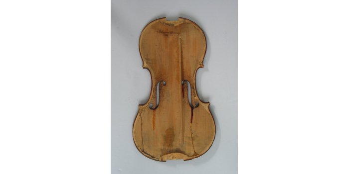 Violon