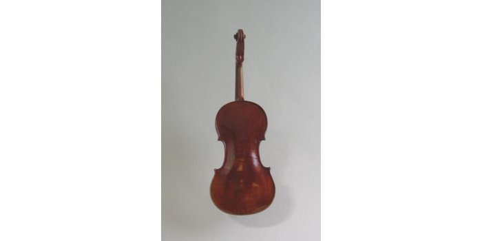 Violon