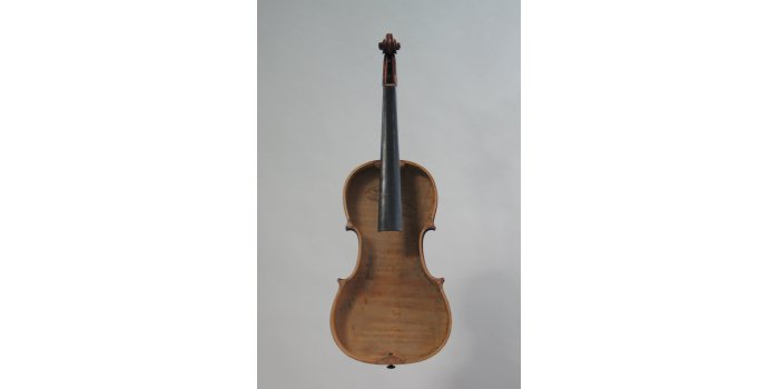 Violon