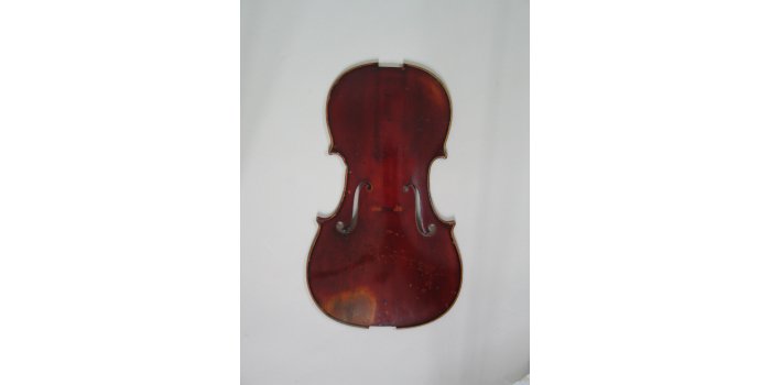 Violon