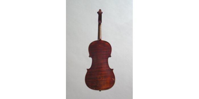 Violon