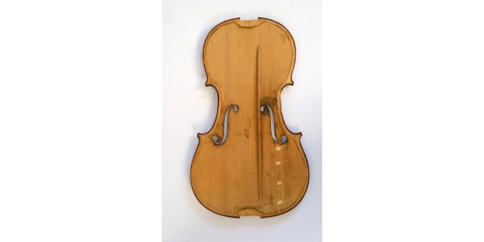 Violon