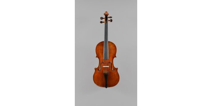 Violon