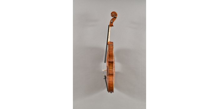 Violon