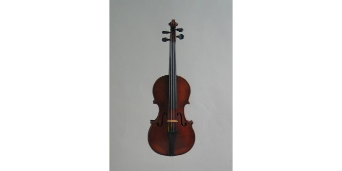 Violon 1/2