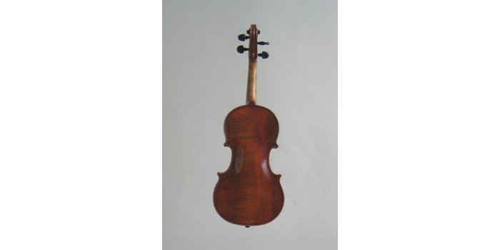 Violon 1/2