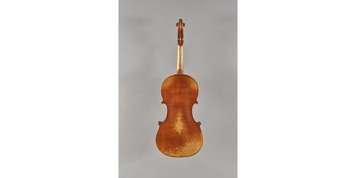 Violon