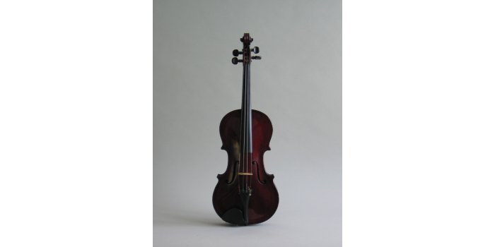 Violon