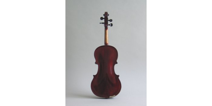 Violon