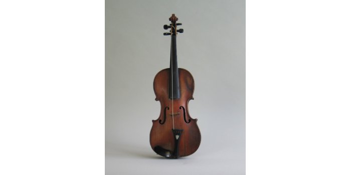 Violon