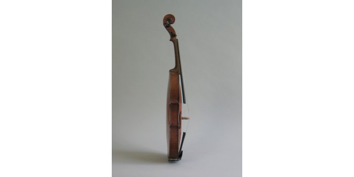 Violon