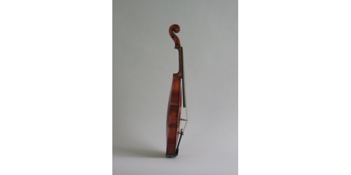 Violon