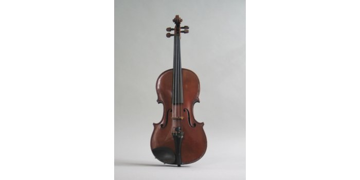 Violon