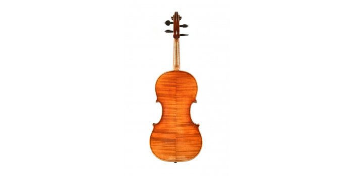 Violon