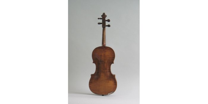 Violon