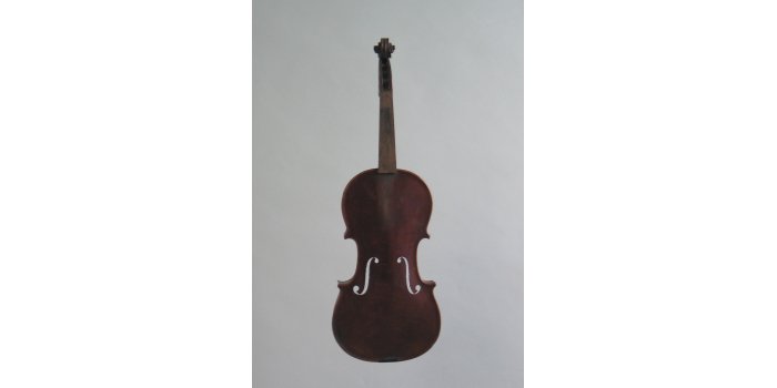 Violon